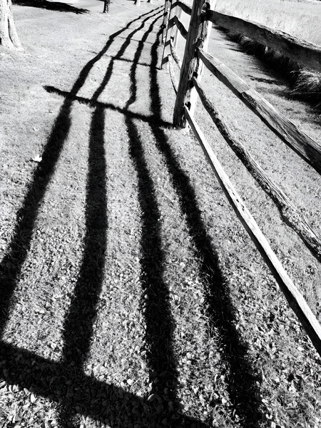 Split Rail Shadows Print