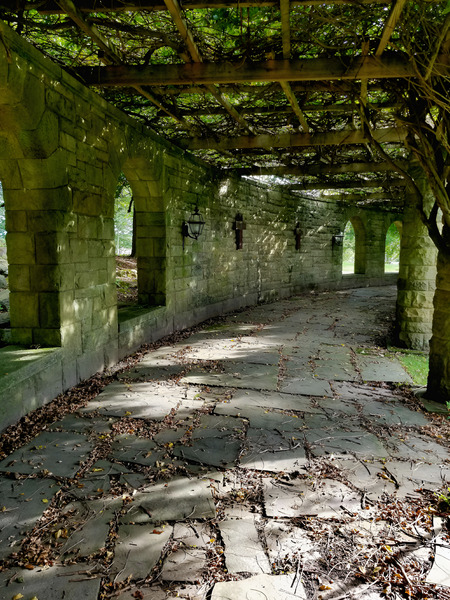 Mt Assisi Garden 2 Print