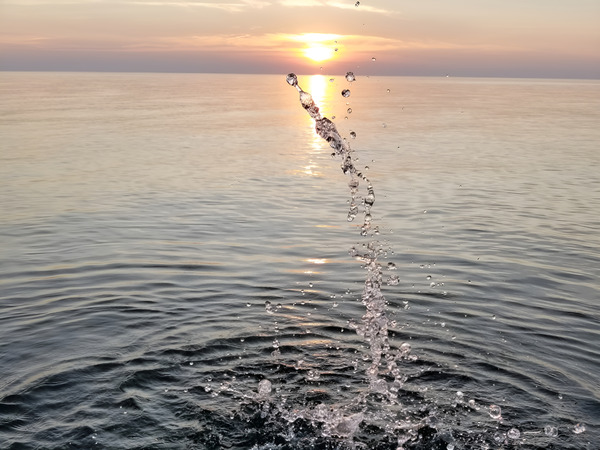 4th Of July Splash  Print