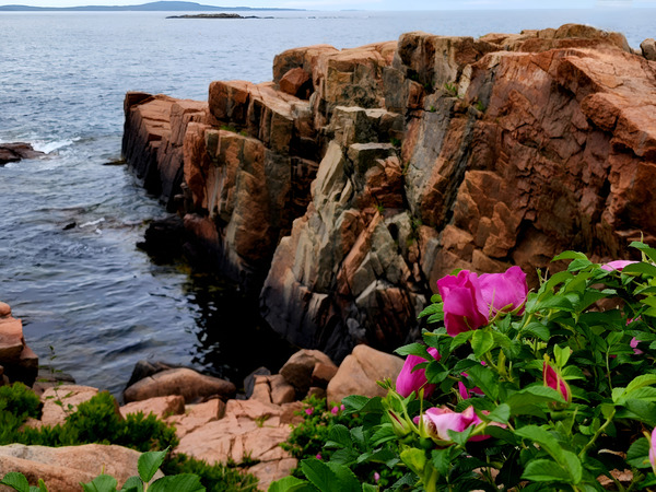 Acadia Coast  Print