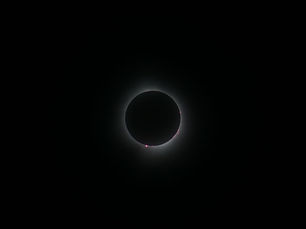 Great American Total Solar Eclipse April 8 2024 2  Print