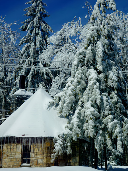 Laurel Mountain Winter Print