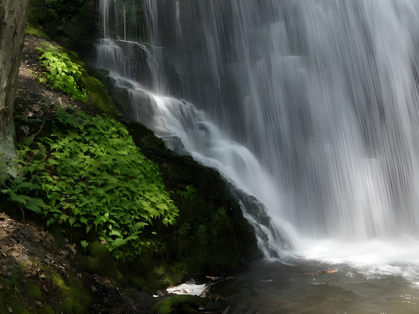 Bushkill Falls Print