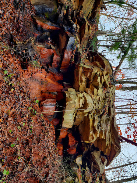 Iron Oxide Melt Print