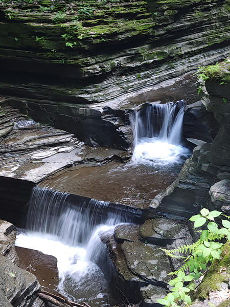 Watkins Glen State Park 1 Print