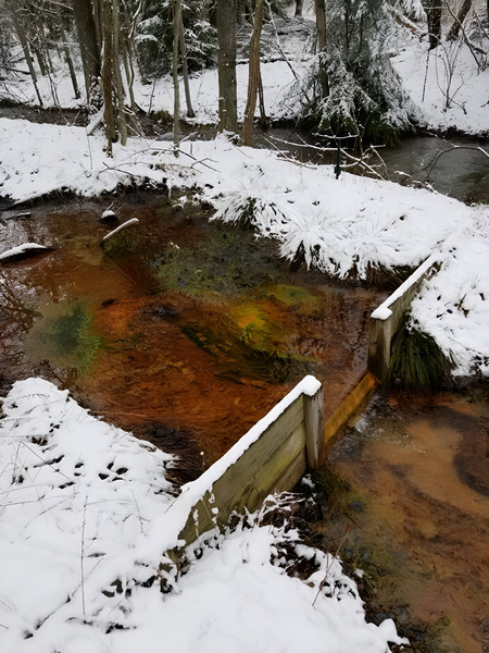 Reitz  2 Lower AMD Print