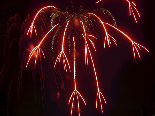 Fireworks Red Dragon Print