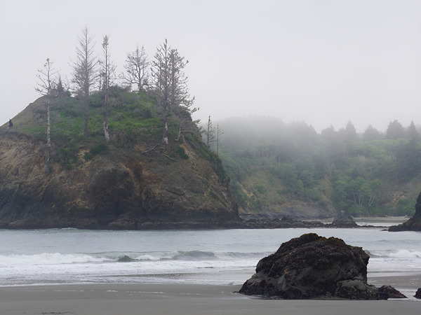 Pacific Coast Mist Print