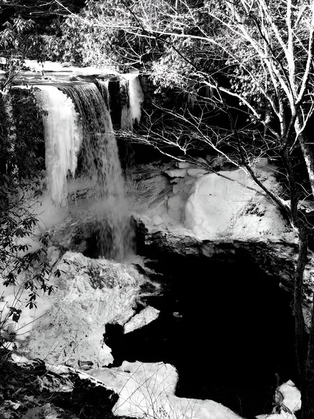 Cucumber Falls Print