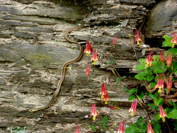 Beauty And Beast Print