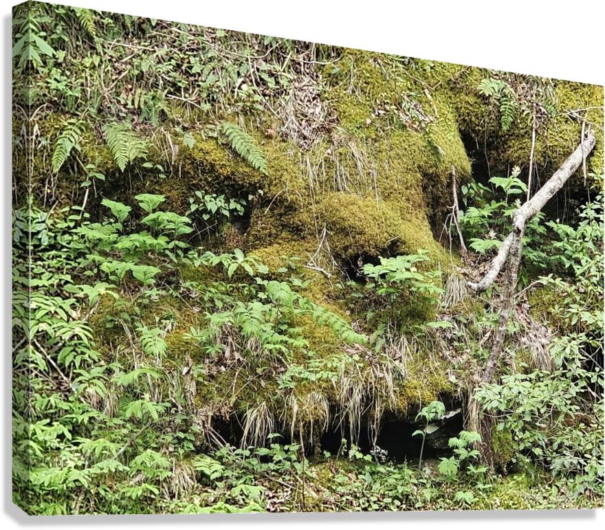 Faces Of The Smokies 5  Canvas Print