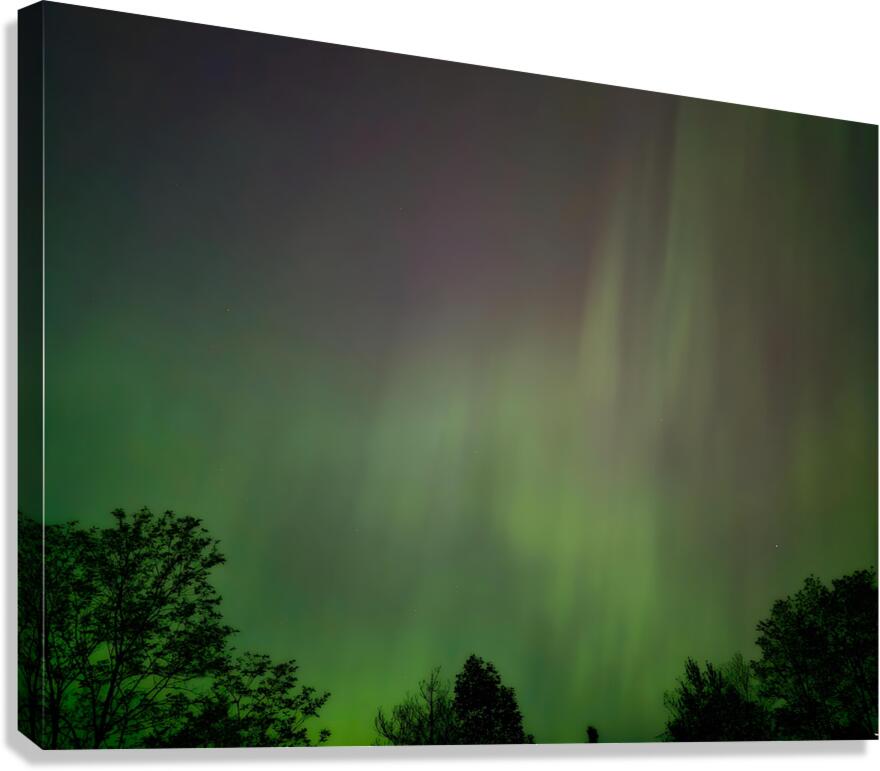 Aurora 1  Canvas Print