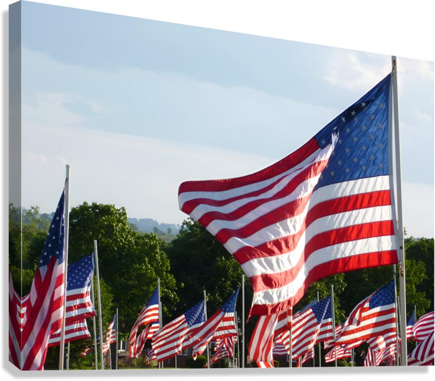 Flags Canvas Print