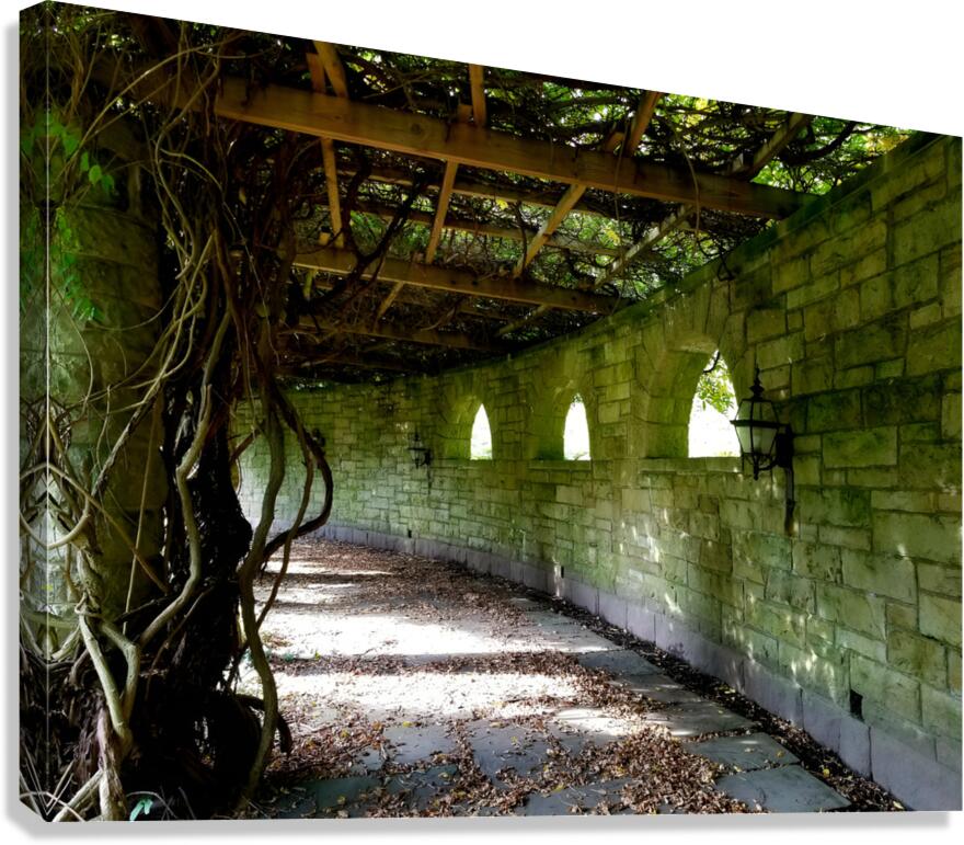 Mt Assisi Garden 1 Canvas Print