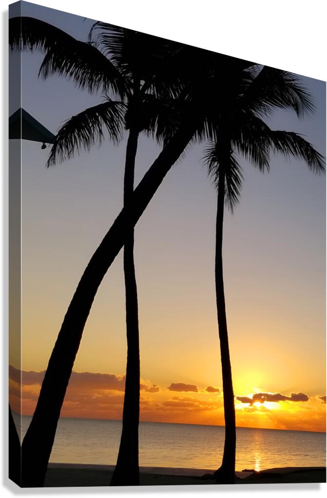 Florida Keys Sunrise & Palms 1 Canvas Print