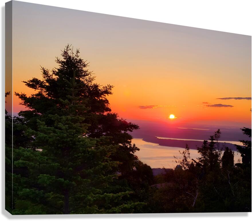 Acadia Sunrise Canvas Print