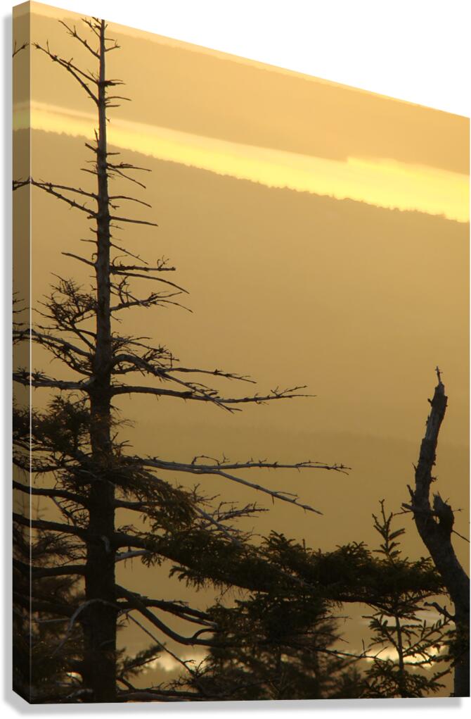 Golden Sunrise Canvas Print