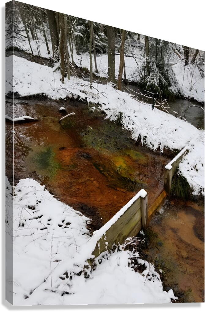 Reitz  2 Lower AMD Canvas Print