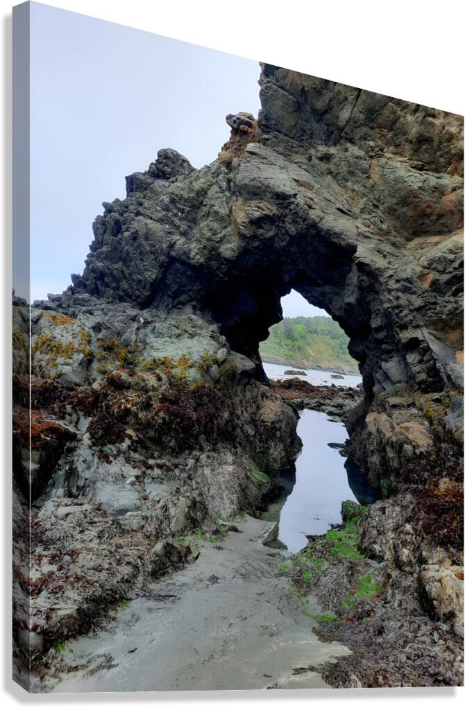 California Coast Canvas Print