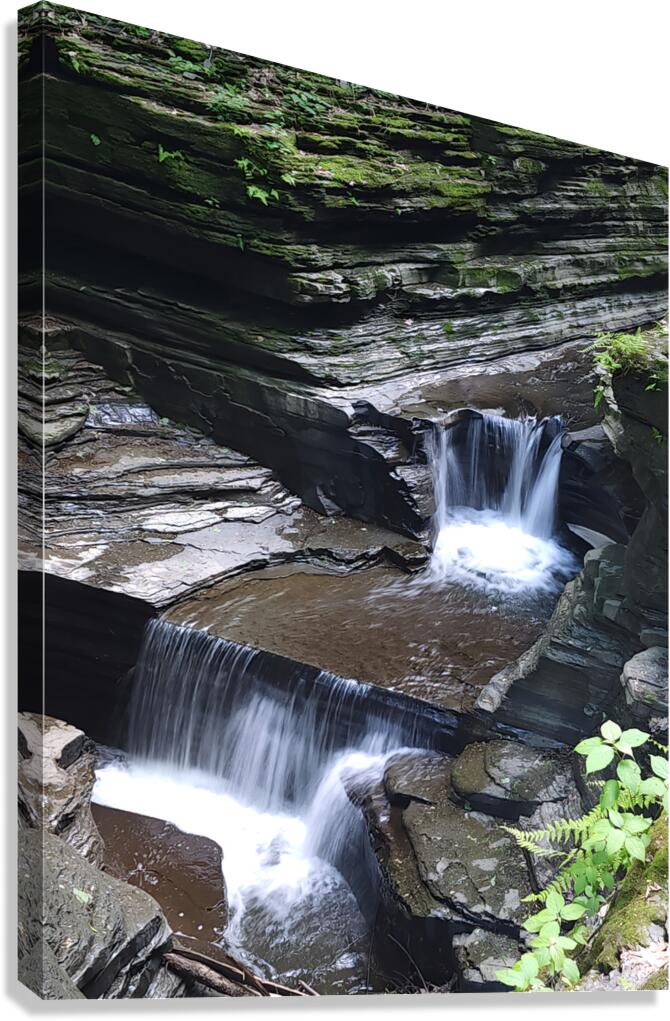 Watkins Glen State Park 1 Canvas Print