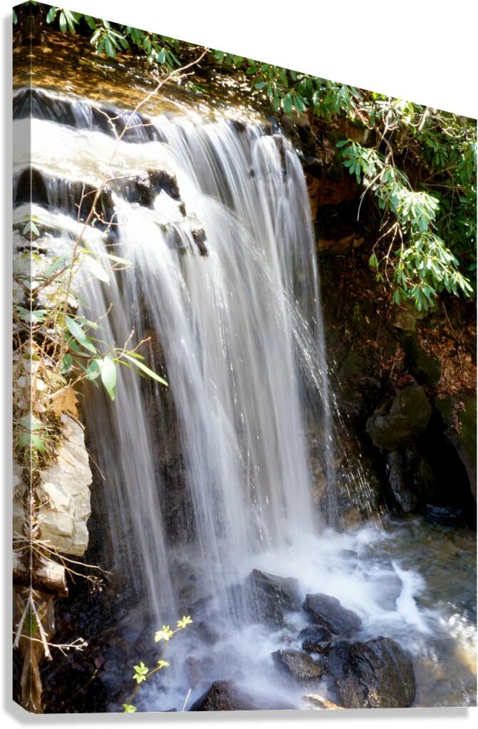 Waterfall Canvas Print
