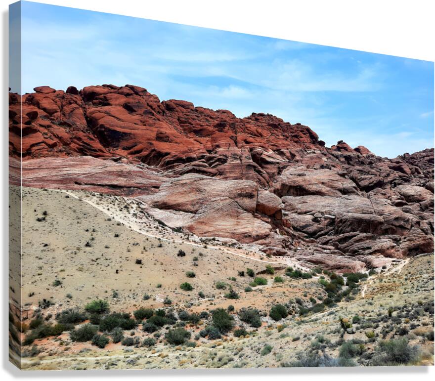 Red Rock Canyon 3 Canvas Print
