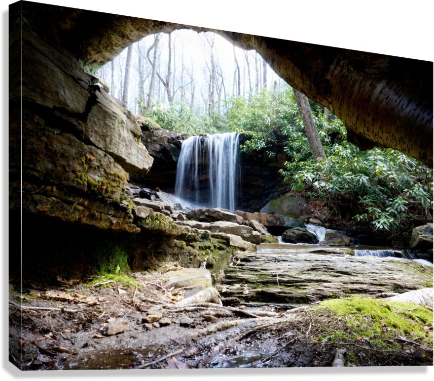Cole Run Falls  Canvas Print