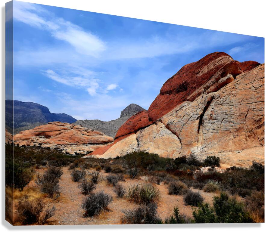 Red Rock Canyon 1 Canvas Print