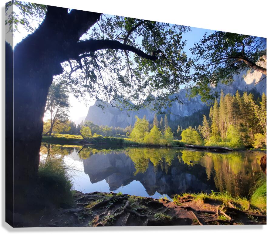 Yosemite 2  Canvas Print