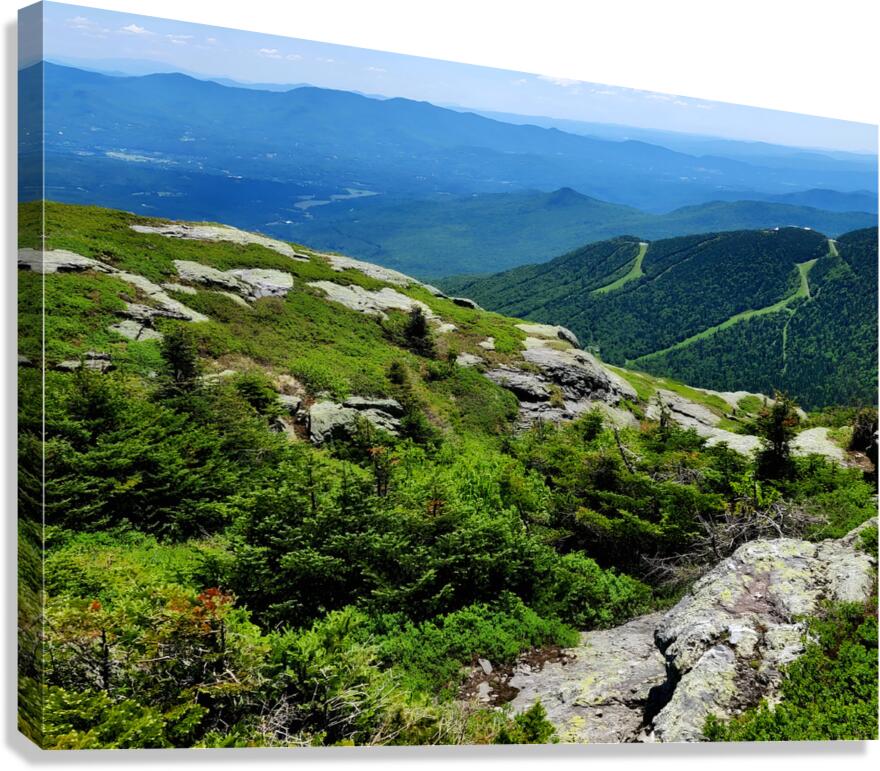 White Mountains  Canvas Print