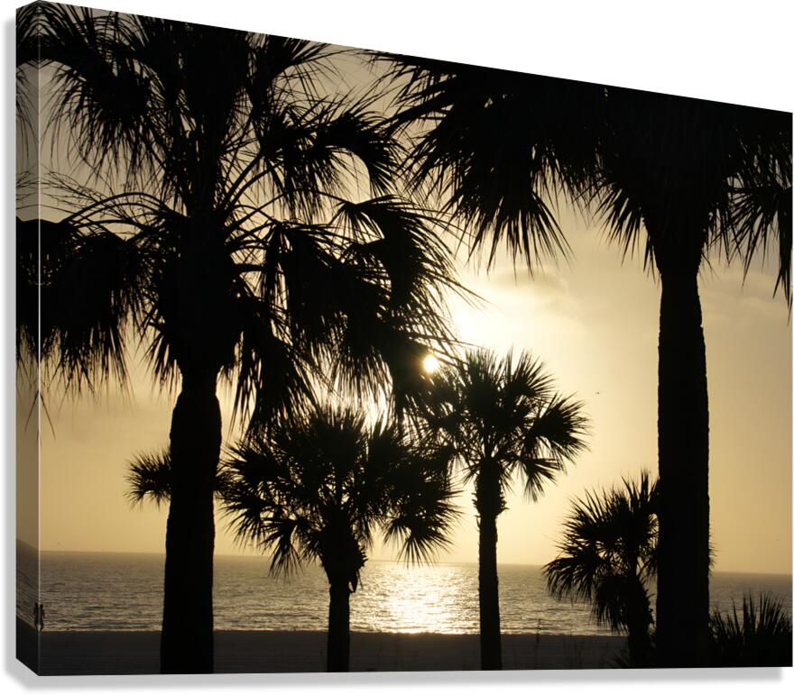 Palm Trees Silhouette  Canvas Print