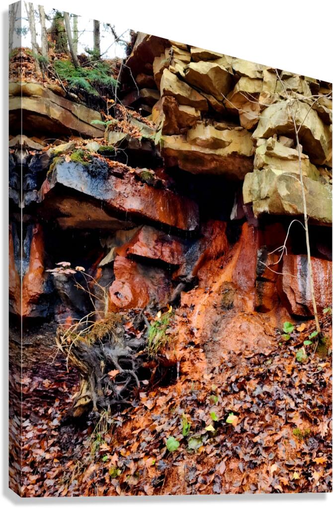 Iron Oxide Melt Canvas Print