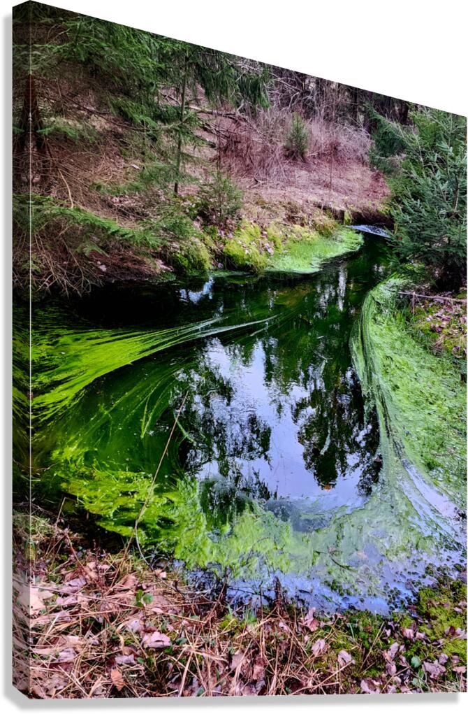 Reitz  2 AMD Canvas Print