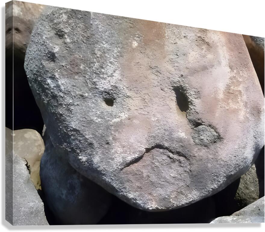 Sad Rock Canvas Print