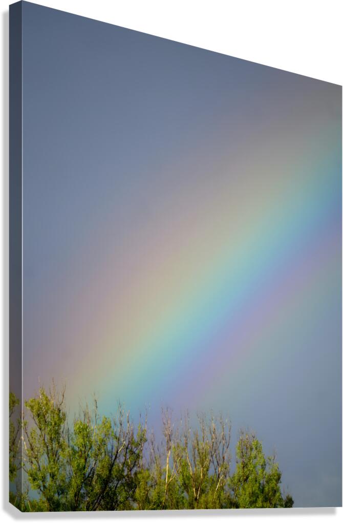 Rainbow Canvas Print