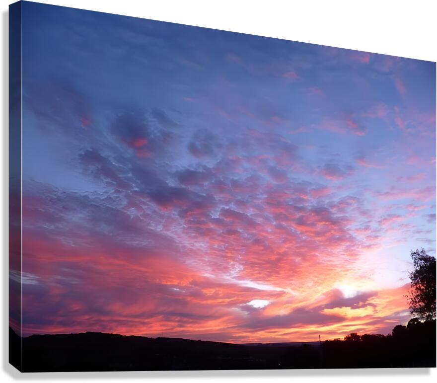 Pink In The Morning Canvas Print