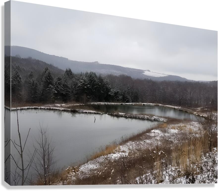 Oven Run B Canvas Print