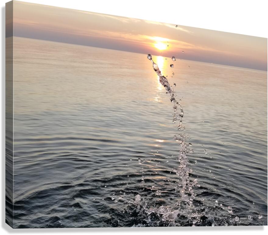 4th Of July Splash  Canvas Print