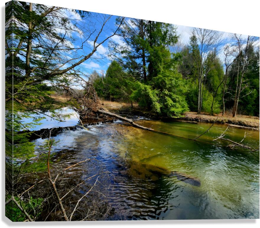 Spring At Clear Shade Creek Canvas Print