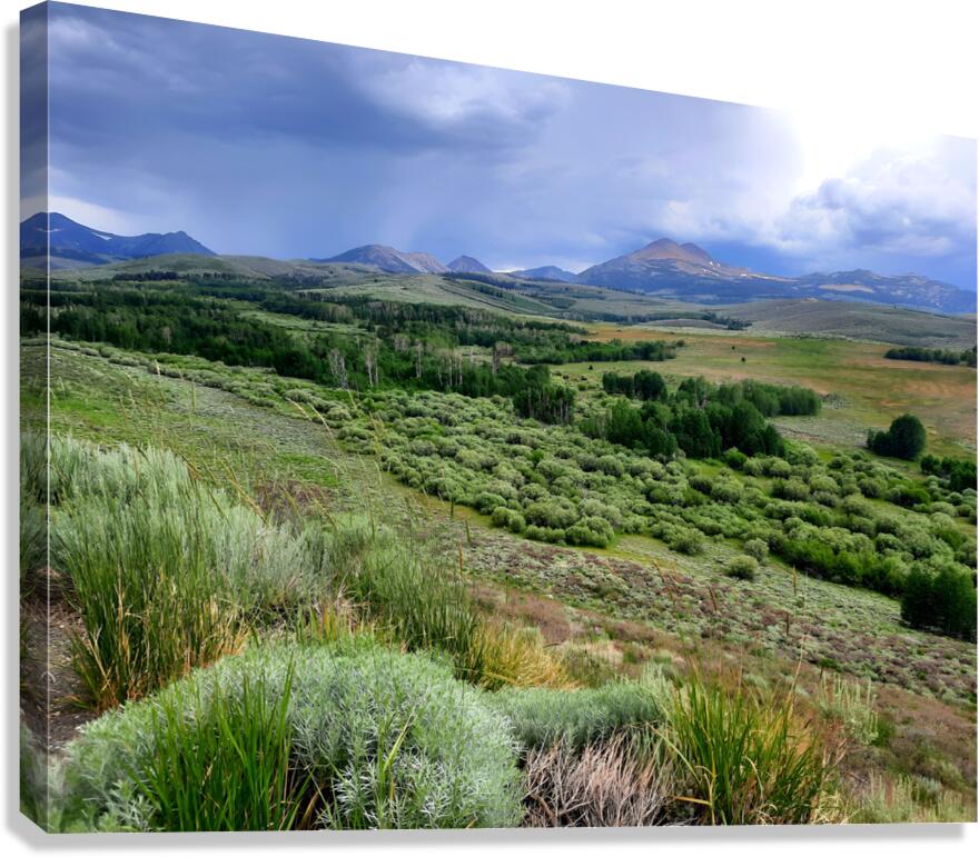 Sierra Nevada Canvas Print