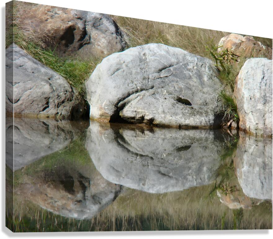 Rock Smile Canvas Print