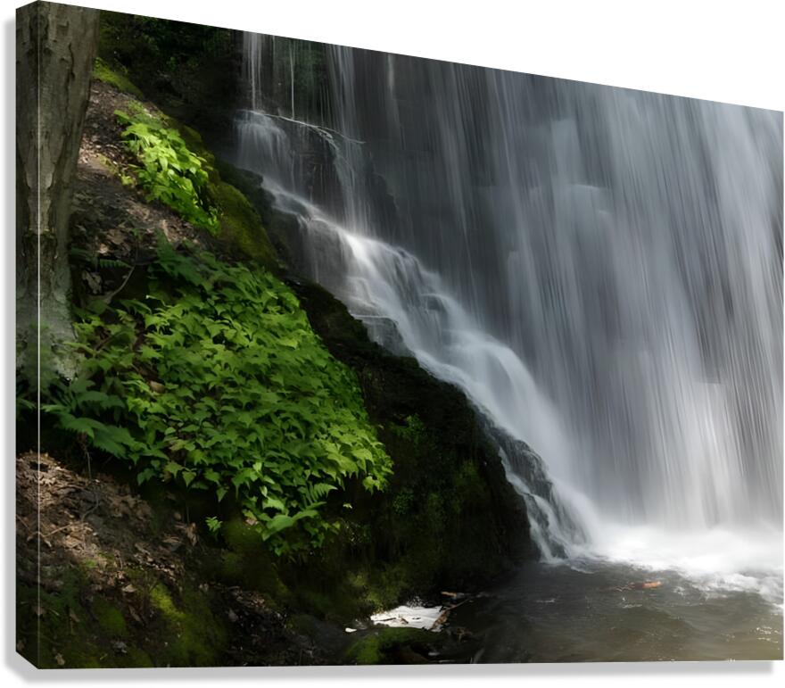 Bushkill Falls Canvas Print