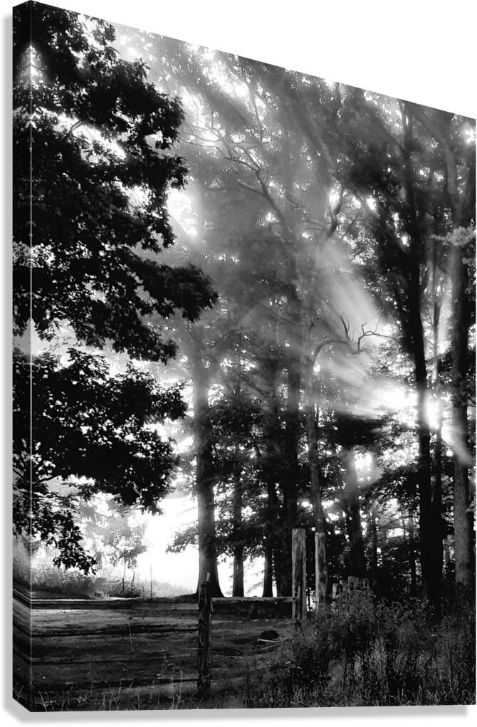Misty Morning Rays Canvas Print