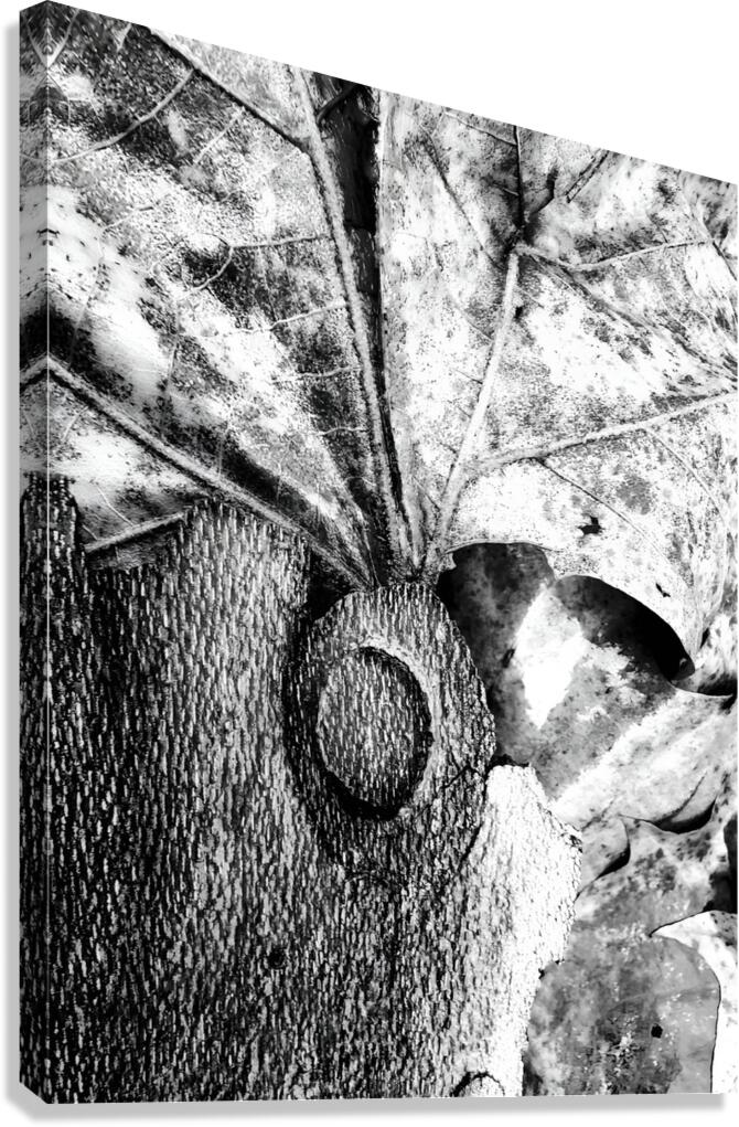 Botanical Shapes Canvas Print