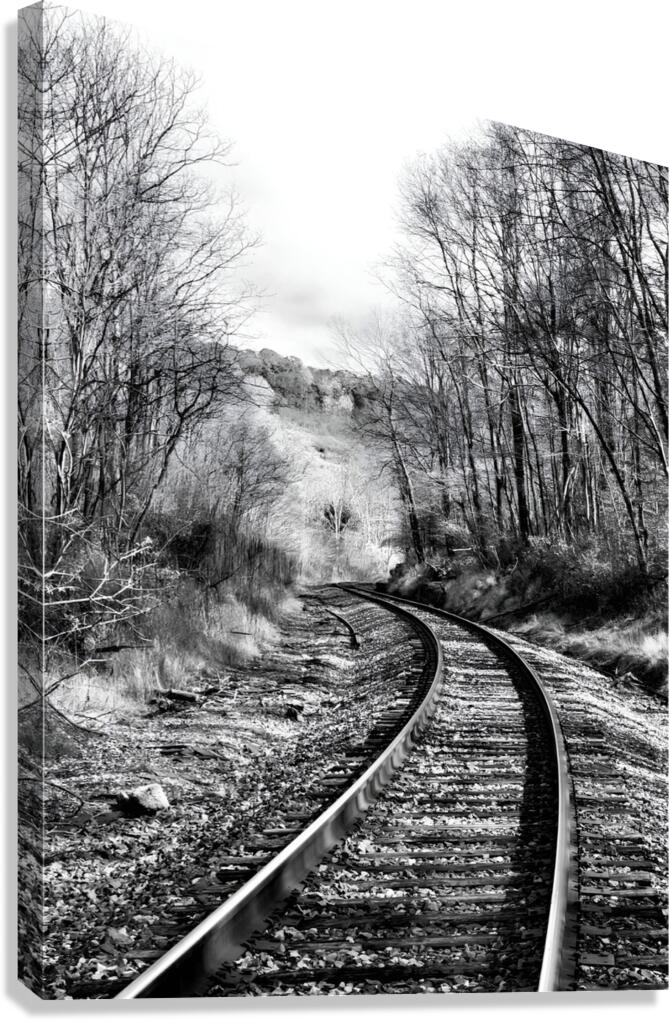Railroad Canvas Print