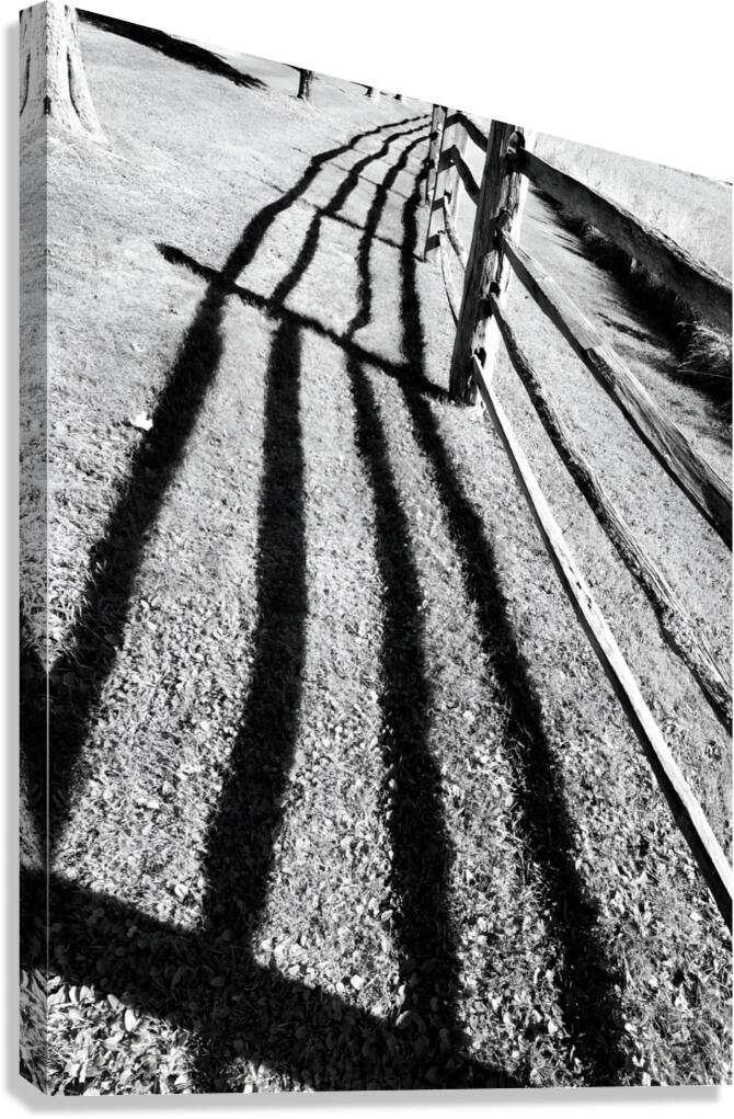 Split Rail Shadows Canvas Print