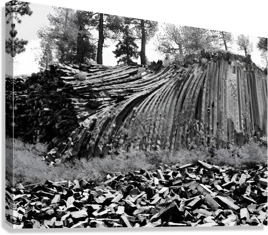Devils Postpile National Monument Canvas Print