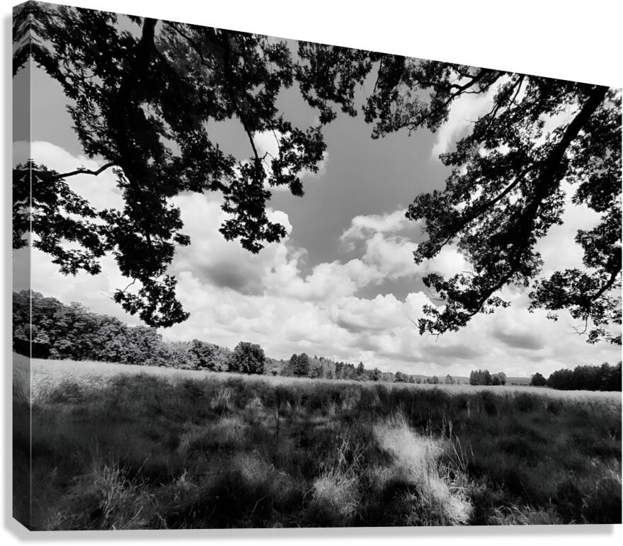 Meadow Canvas Print