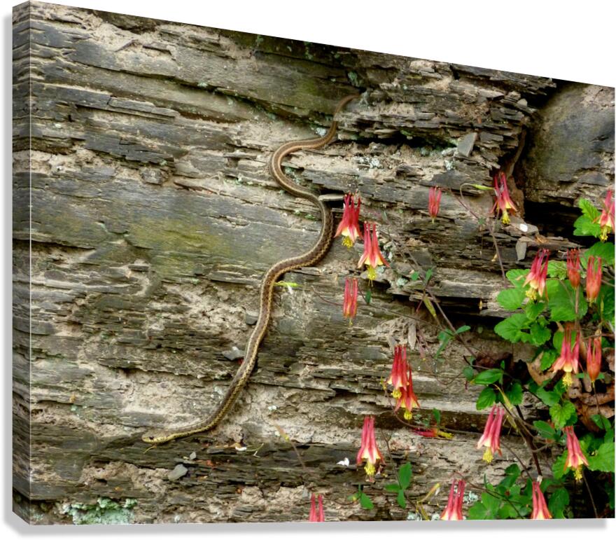 Beauty And Beast Canvas Print