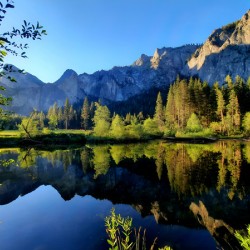 Yosemite Morning